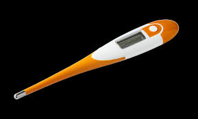 BOSS FLexible Thermometer Digital W/P